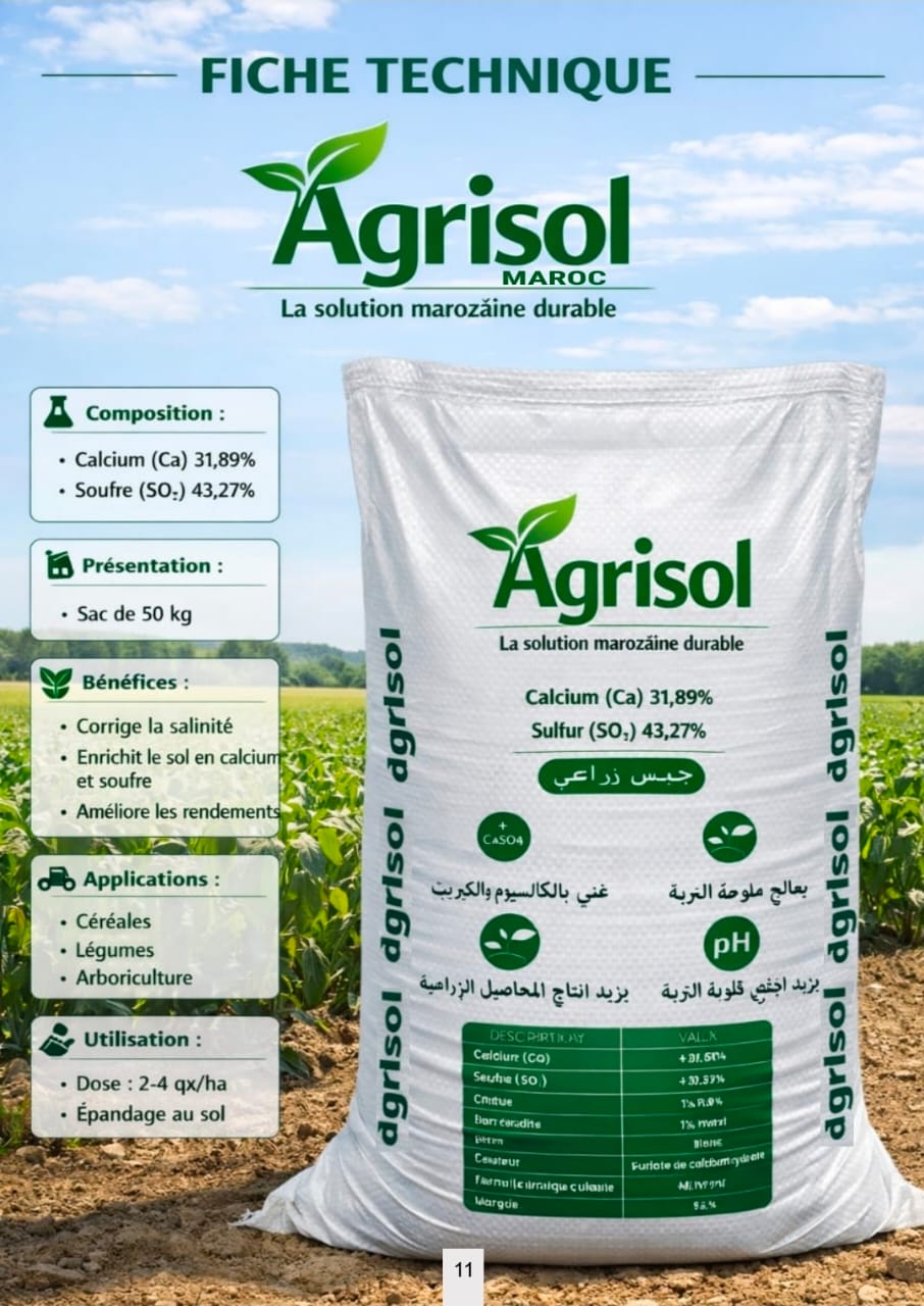 فريق أجريسول المهني